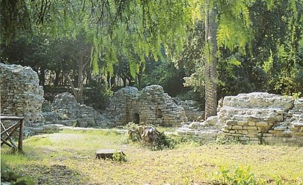 curia con foro.jpg