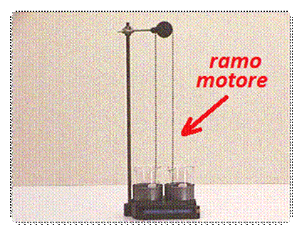 Descrizione: C:\Users\Andrea\Pictures\sifone carrucola.gif