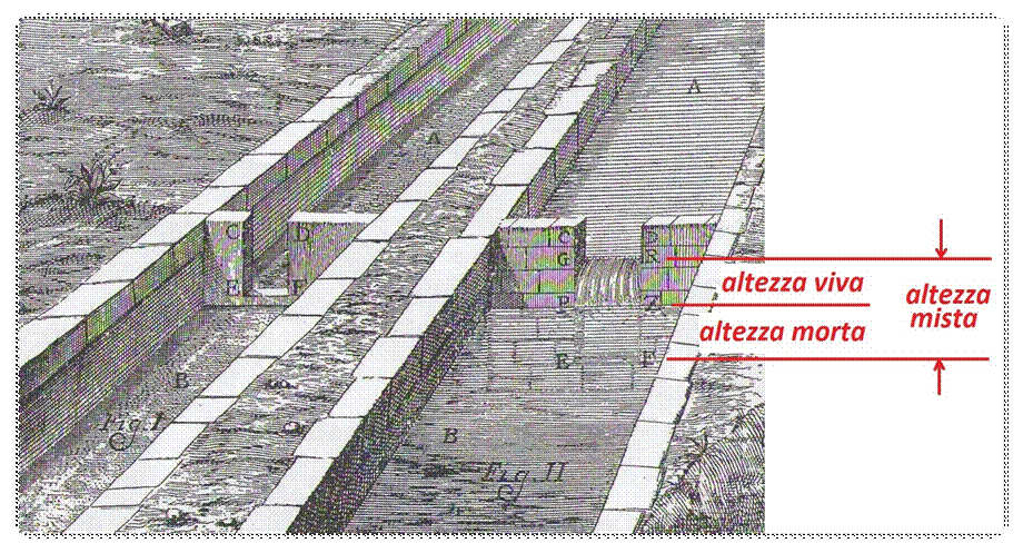 Descrizione: C:\Users\Andrea\Immagini 2010\2010-05-12\poleni misto 6.jpg