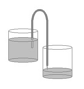 Descrizione: Descrizione: Descrizione: Descrizione: C:\Users\Andrea\Immagini 2010\sifone.jpg