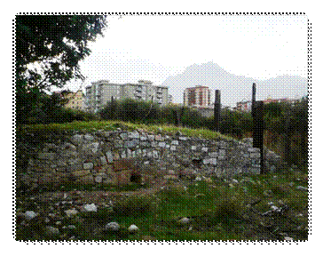 Descrizione: C:\Users\Andrea\Desktop\P1060549.JPG