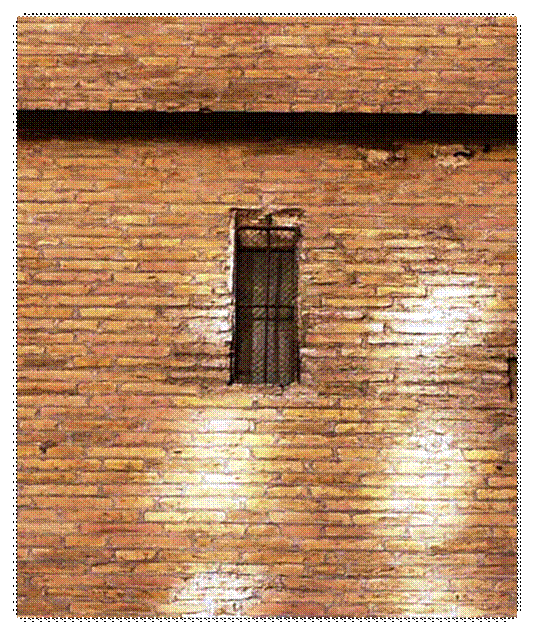 Descrizione: Descrizione: C:\Users\Andrea\Desktop\P1160720.jpg